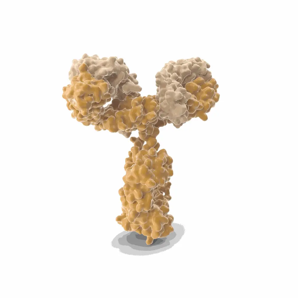 CD63 monoclonal antibody [Clone H5C6, Isotype IgG1], conjugated to 250nm magnetic beads