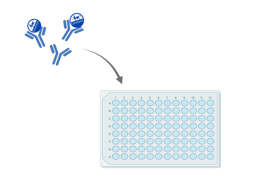 [PCR-384-01] ELISA   384-Well PCR Plates