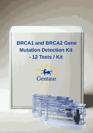 [MA-2107] BRCA1 and BRCA2 Gene Mutation Detection Kit- 12 Tests/Kit