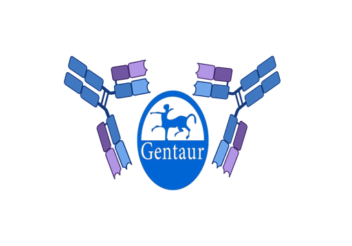 [GEN - GDX35-​1] Petscreen Feline Toxoplasma Ab