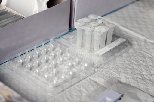 [GEN-BXP1045-kd] pMEV2HA-MEKK1-KD