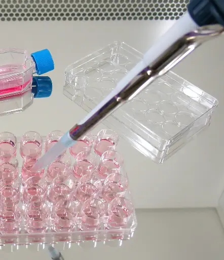 [M-GEN-EXO006] ExoGAG SERUM Exosome Isolation Kit